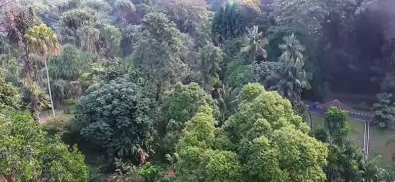 Kebun Raya Bogor-BRIN